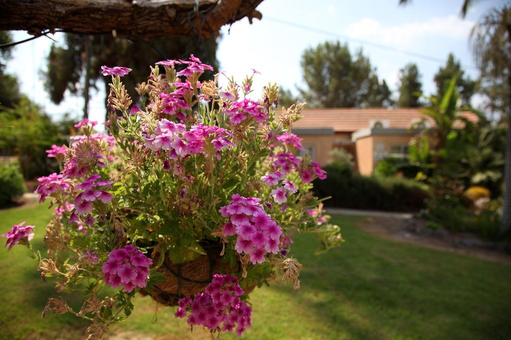 Shaar Hagolan Kibbutz Country Lodging Екстериор снимка